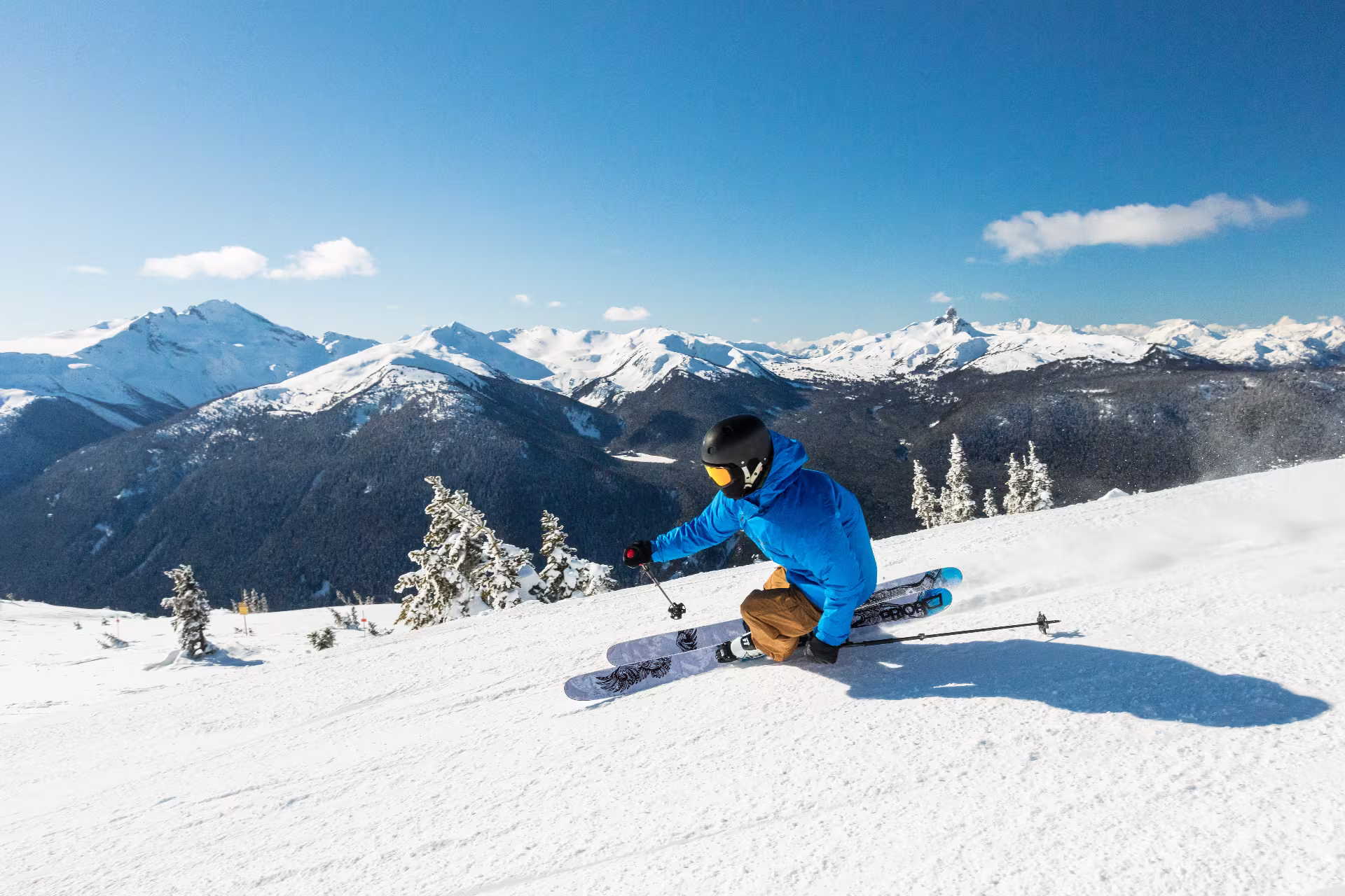 Skier Carving Turns Sunny Whistler Blackcomb