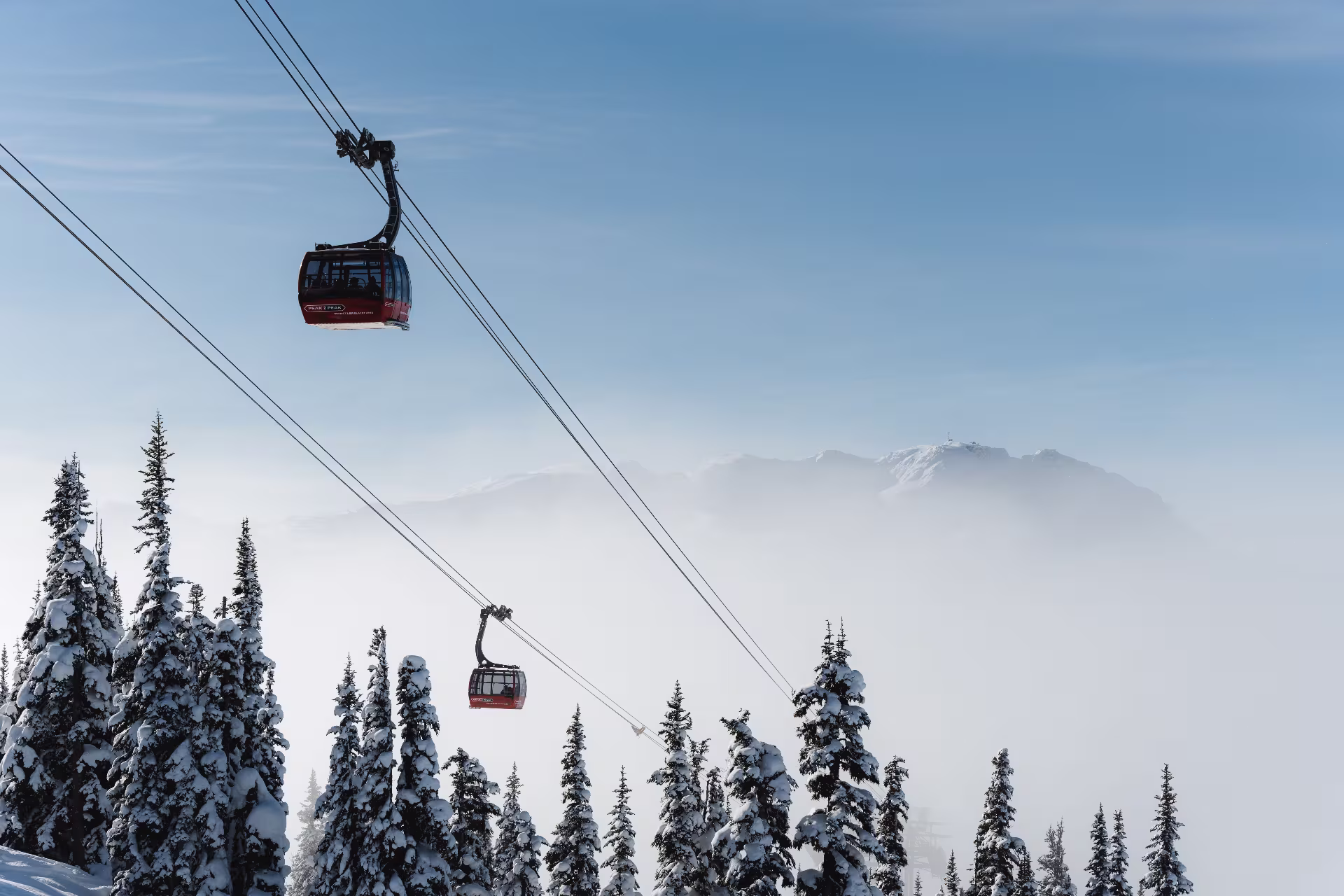 Whistler Blackcomb Peak 2 Peak Gondolas above snowy trees and BC landscape