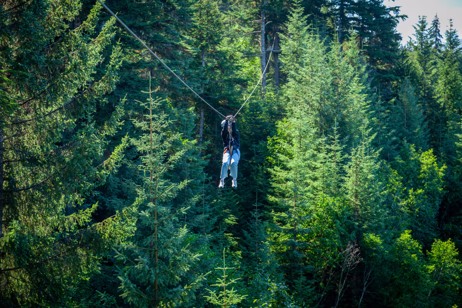 Zip Trek Adventures in Whistler BC