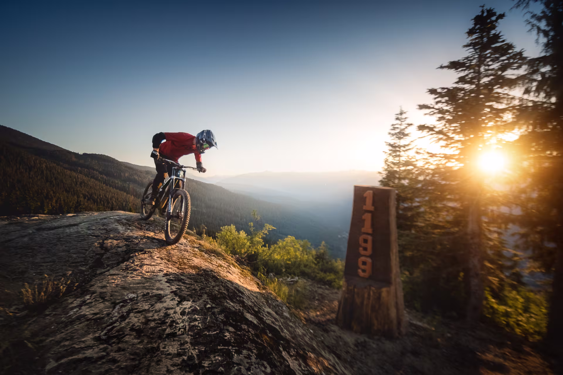 Whistler Mountain Biker Alpine
