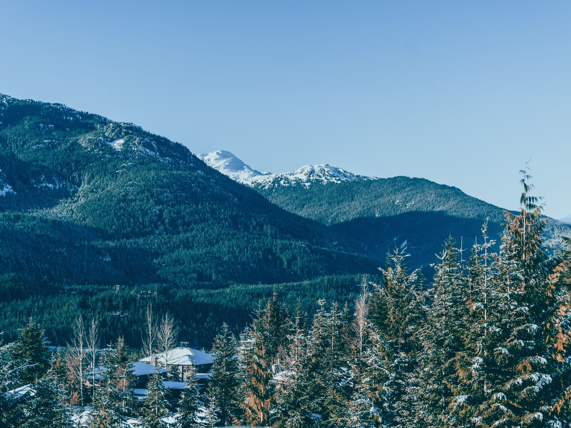Scandinave Spa Whistler Outdoor Thermal Baths Surrounded By Cedar Forest In Winter